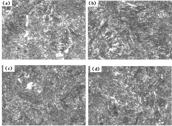 圖12-15 （a、b、c、d） 1～4號樣金相組織 500&times;