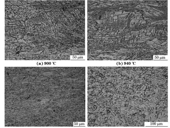 圖５ 在不同溫度、應(yīng)變速率為０．０１０s－１下壓縮至應(yīng)變量為７０％后GH４１６９合金的顯微組織