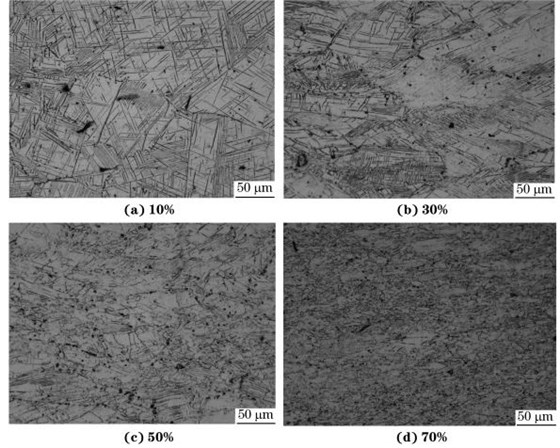 圖４ 在９８０ ℃、應(yīng)變速率為０．０１０s－１