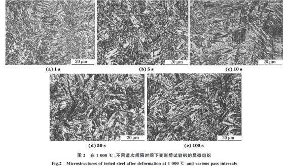 圖２ 在１０００ ℃、不同道次間隔時(shí)間下變形后試驗(yàn)鋼的顯微組織