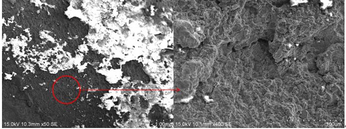 圖2 斷口源區(qū)宏、微觀形貌，沿晶特征+二次裂紋