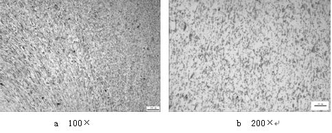 ML16CrSiNi長托板螺母未熱處理的金相組織，可見變形痕跡