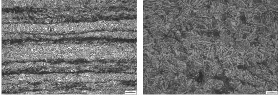 螺栓偏析組織 200&times; 螺栓疏松組織 500&times;