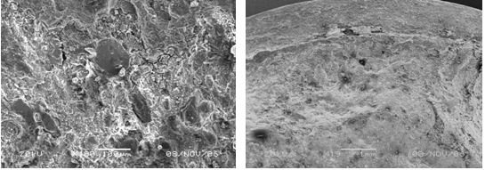 圖13-116 斷口心部微觀形貌 圖13-117 斷口邊沿微觀形貌，