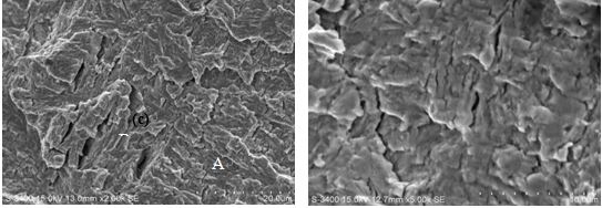 圖11-186 斷面裂紋擴(kuò)展區(qū)微觀(guān)形貌 圖11-187 斷面裂紋擴(kuò)展區(qū)微觀(guān)形貌