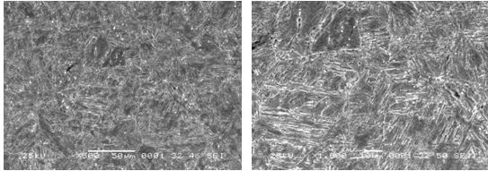 圖16-67 裂紋件的組織形貌 500&times; 圖16-68 裂紋件的組織形貌 1000&times;