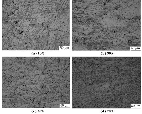 圖４ 在９８０ ℃、應(yīng)變速率為０．０１０s－１