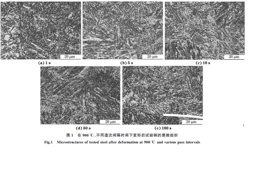 圖１ 在９００ ℃、不同道次間隔時間下變形后試驗鋼的顯微組織
