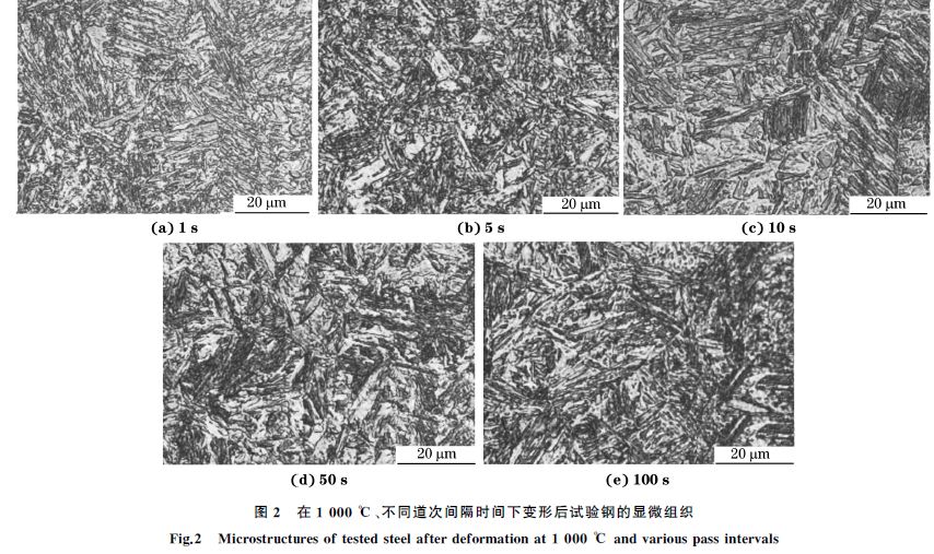 圖２ 在１０００ ℃、不同道次間隔時間下變形后試驗鋼的顯微組織